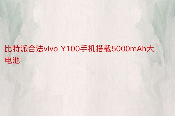 比特派合法vivo Y100手机搭载5000mAh大电池
