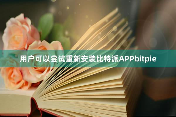 用户可以尝试重新安装比特派APPbitpie