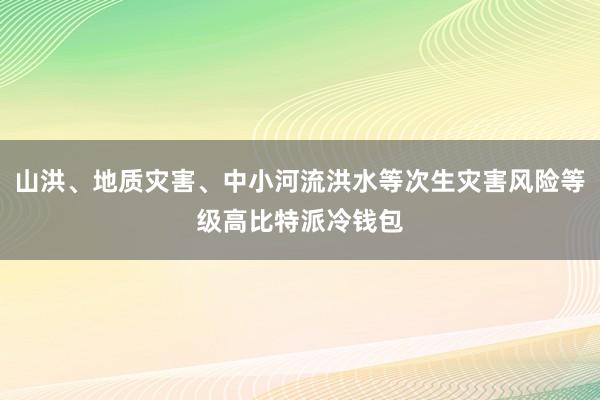 山洪、地质灾害、中小河流洪水等次生灾害风险等级高比特派冷钱包