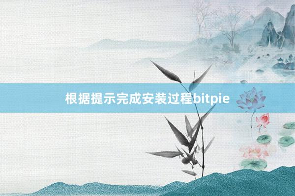 根据提示完成安装过程bitpie