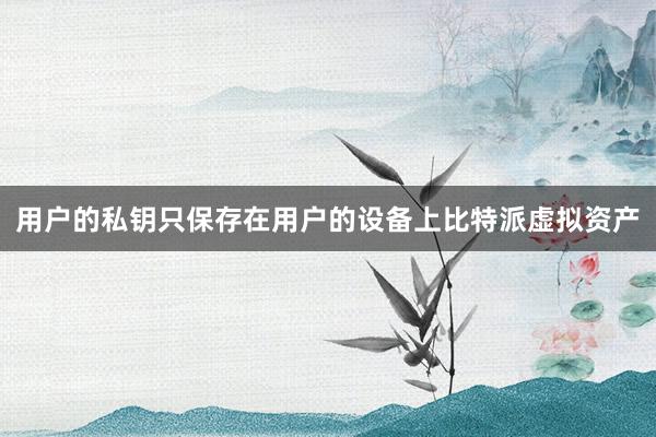 用户的私钥只保存在用户的设备上比特派虚拟资产