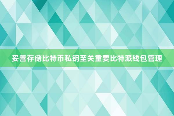 妥善存储比特币私钥至关重要比特派钱包管理