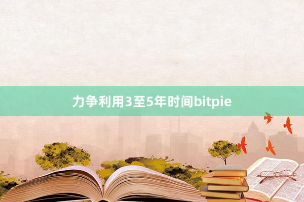 力争利用3至5年时间bitpie