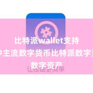 比特派wallet支持多种主流数字货币比特派数字资产